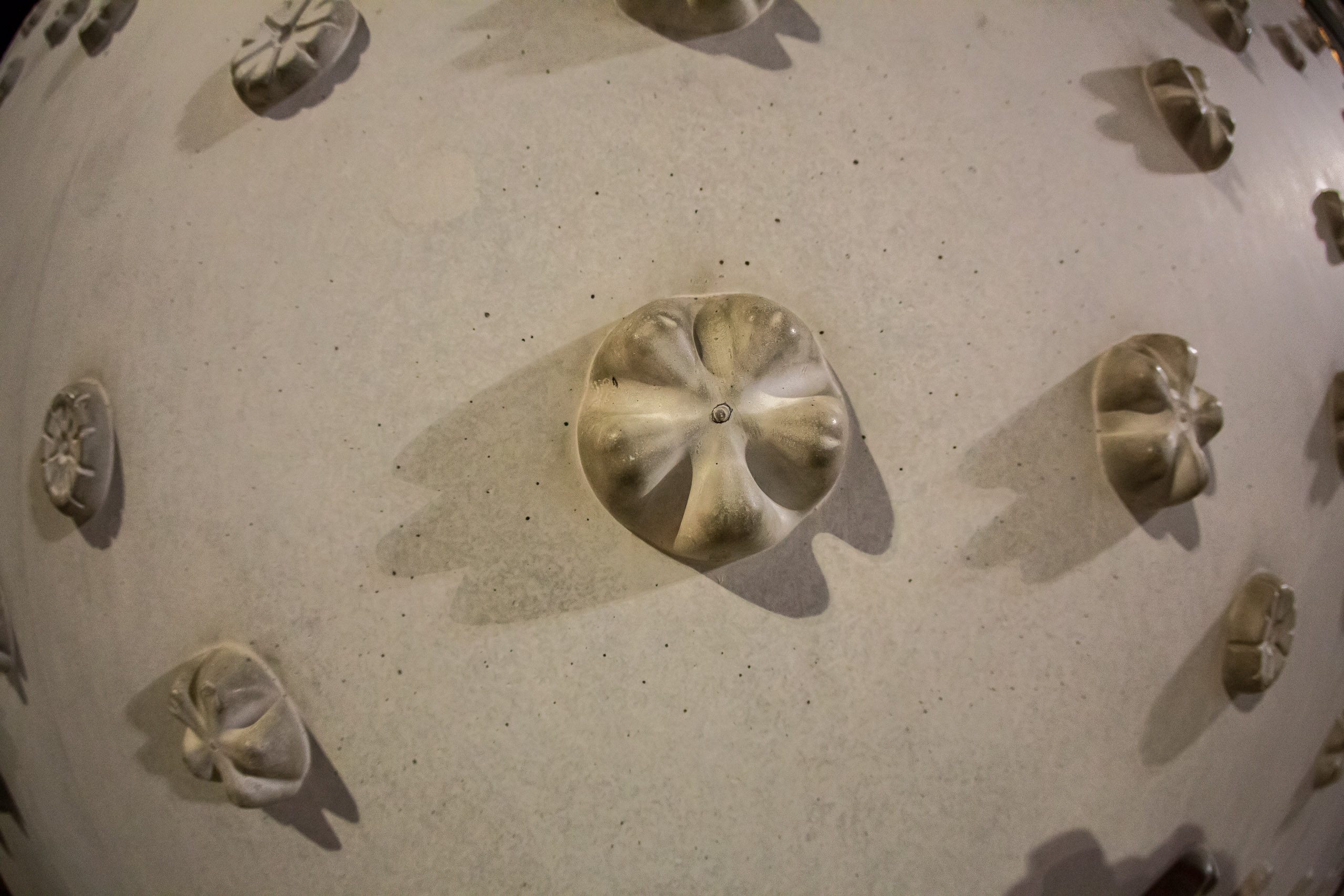 20150228214410 RD 85477